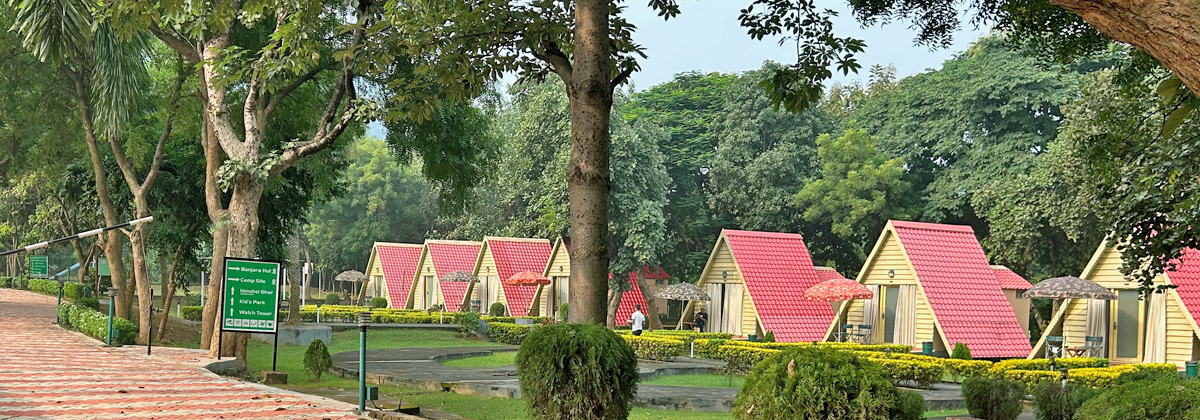 A battery of tent shaped accommodation for a cozy stay